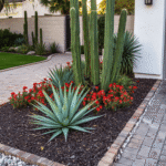 18. Layer Mulch Around Desert Plants